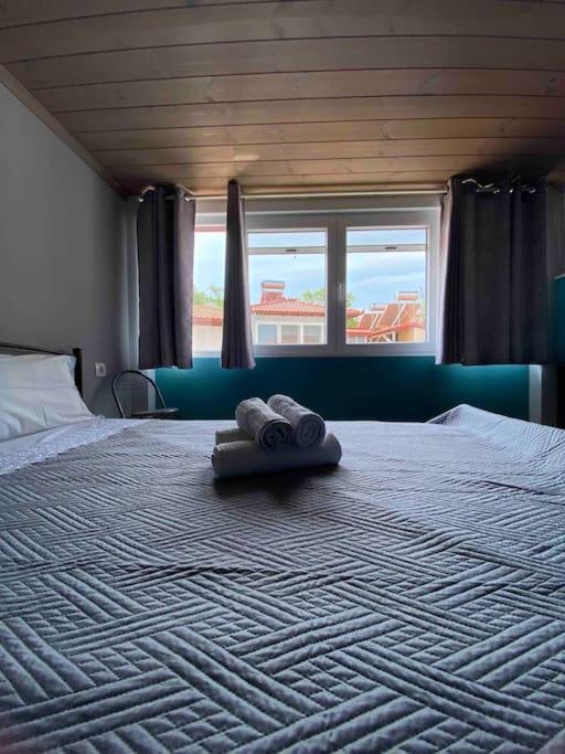 Apartament Cozy New Few Meters Away From Side.